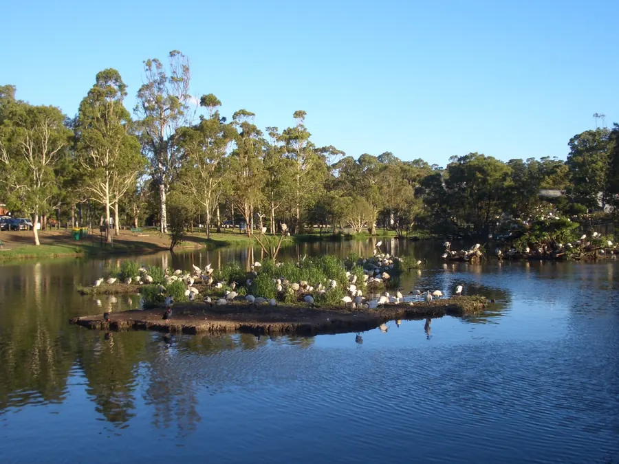 Georges Hall, NSW – local area served by our Bankstown podiatry clinic